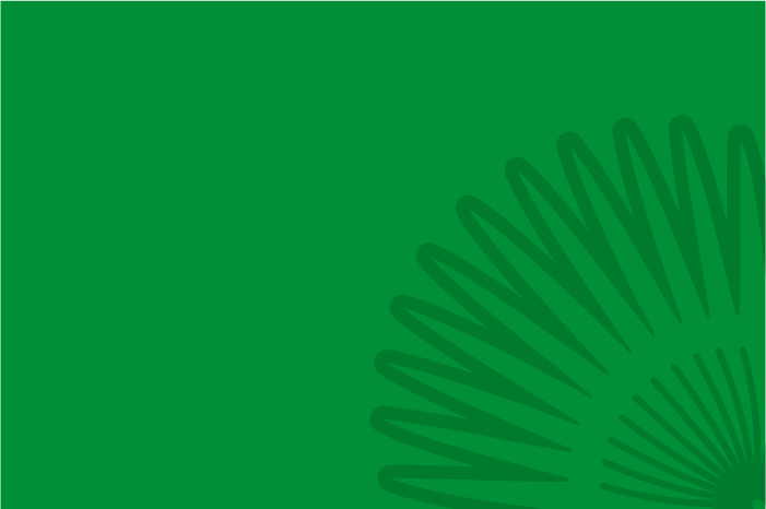 Ilustração de folha de carnaúba em fundo verde